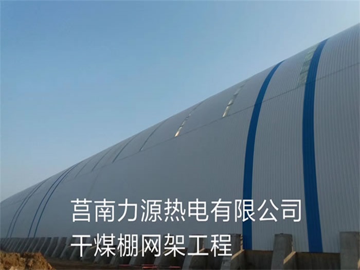 九龙坡力源热电有限公司干煤棚网架工程